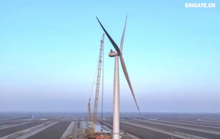 1月11日，全球最大功率等級的漂浮式風電機組——中國中車“啟航號”在山東東營風電裝備測試認證創(chuàng)新基地吊裝成功，標志著我國在海上超大型風機的探索邁出重要一步。該項目風電機組的配套塔筒是全球直徑最大、重量最重的塔筒型號，所用鋼板由河鋼集團舞鋼公司獨家提供。  微信圖片_20250220083217.jpg  舞鋼公司深入貫徹集團要求，以客戶需求為導向，大力開展技術營銷，不斷優(yōu)化營銷方案，通過提供“一攬子”解決方案，滿足高端客戶對高品質產(chǎn)品和未來發(fā)展的需求，加速由生產(chǎn)型向“制造+服務”型企業(yè)轉變。該項目對產(chǎn)品抗沖擊性能及表面質量有著極為嚴苛的要求，且交貨期較短，生產(chǎn)難度相當大。為確保合同順利交付，舞鋼公司產(chǎn)線各單位協(xié)同聯(lián)動，強化工藝和生產(chǎn)過程控制，攻克了高強度與高延伸率匹配、低溫沖擊韌性匹配等一系列技術難題，確保了產(chǎn)品各項指標全部滿足客戶要求，并按期交付客戶。  微信圖片_20250220083224.jpg  “啟航號”20MW漂浮式海上風電塔筒是專門為20MW及以上海上漂浮式風機提供系統(tǒng)解決方案而設計的，是全球最大功率漂浮式風電機組的配套塔筒，總高度為141.15米，最大直徑12米，重量達到了1576噸。